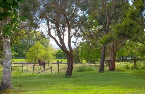 Camperdown Other | Lakes And Craters Holiday Park