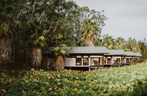 Lovedale Villa | Leaves & Fishes - Private group escape in the Hunter Valley