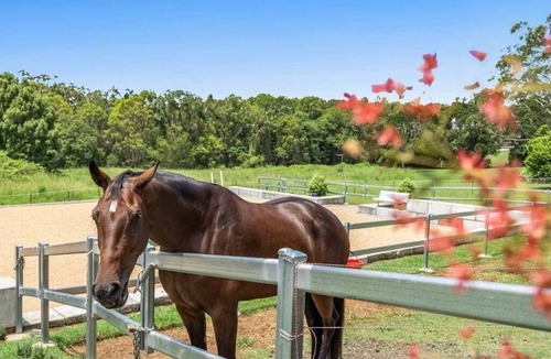 Lennox Head House | Lennox Meadows