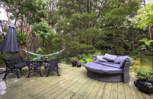 Sassafras House | 🔺Log Cabin🔺3BDR🔺2BR 🔺Quiet 🔺In Forrest