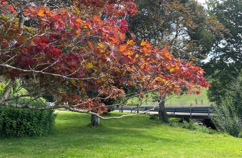 East Kangaloon House | Lovely 3-bedroom house in amazing East Kangaloon for your getaway