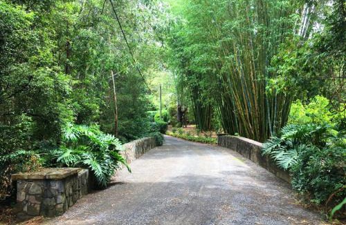 Peachester House | Mango Hill Farm