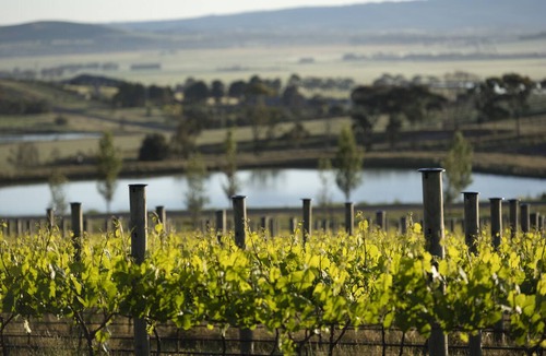 Mickleham Hotel | Marnong Estate