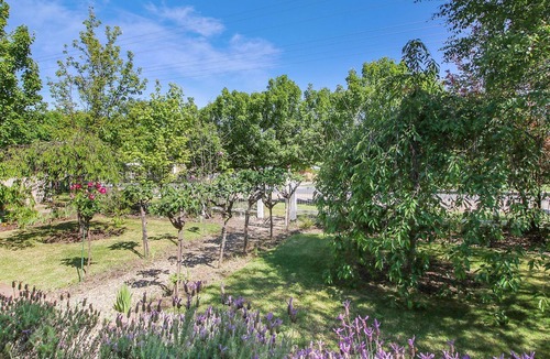Beechworth House | McNamara House: Where history meets comfort in Beechworth's heart.