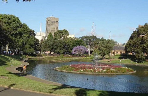 Ultimo Apartment | Modern 3BR Apt w Parking near ICC & Darling Harbour