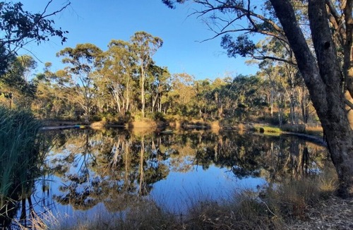 Muckleford Cottage | Muckleford Forest Cottage - Quiet bush stay with dam, pizza oven & wood fire