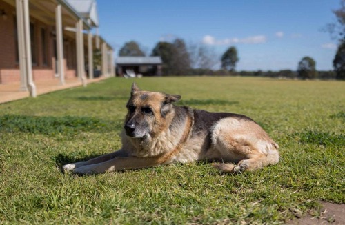 Dubbo House | Ned's Hideout Private Cabins Near Dubbo