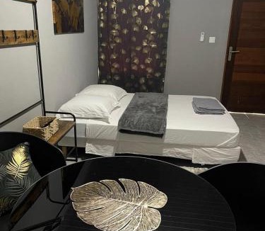 Arrondissement of St-Laurent-du-Maroni Apartment | Nice Studio Flore