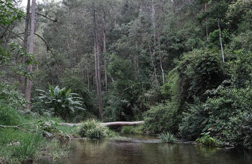 Bellbrook House | Nulla Nulla Sanctuary Homestead- Country property for up to 8 guests & 2 dogs
