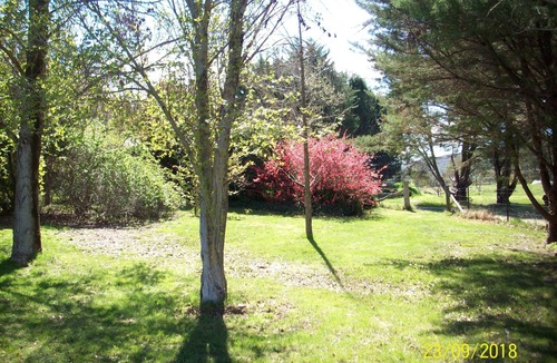Wooragee Cottage | Orchard Cottage