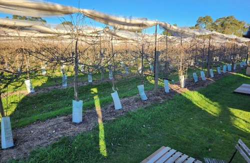 Darraweit Guim House | Orchard Wanderer by Tiny Away