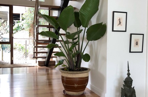 Patonga House | Patonga Views holiday retreat 2 night minimum stay