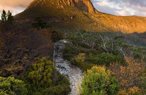 Cradle Mountain Hotel | Peppers Cradle Mountain Lodge