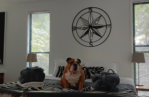 Buderim Bed & Breakfast | Pet Friendly Rainforest Cabins located 10 minutes from beachfront !
