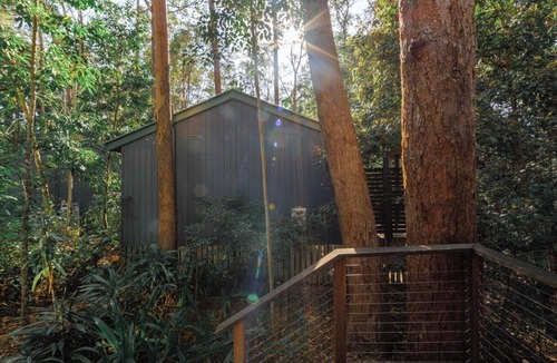 Buderim Bed & Breakfast | Pet Friendly Rainforest Cabins located 10 minutes from beachfront !