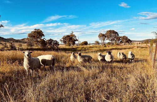 Erudgere Cottage | Redgate Cottage, Mudgee. Peaceful rural setting. Great place to unwind.