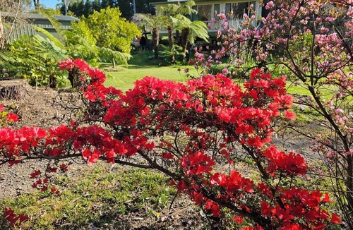 Gladysdale Cottage | Riders Rest Yarra Valley