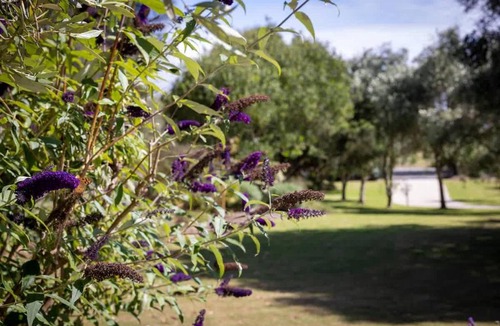 Queenscliff House | Sagres Queenscliff, Designer Oceanfront Escape with Pool & Sauna