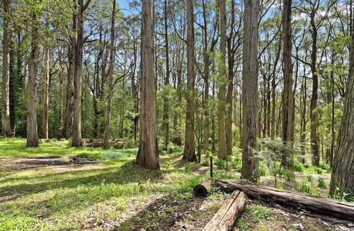 Sassafras House | Sassafras 4BR retreat on 2.5 acres w firepit