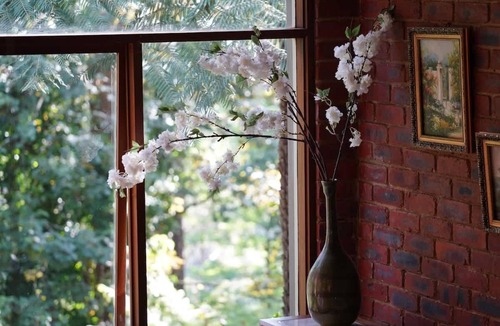 Sassafras House | Seednest Treehouse | Forest & Mountain View