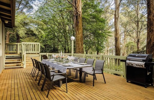 Sassafras House | Seednest Treehouse | Forest & Mountain View