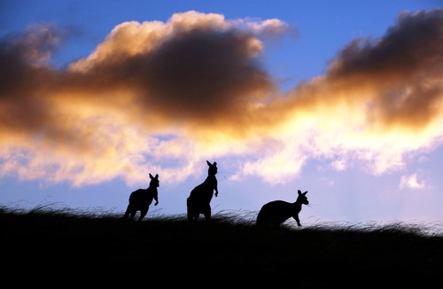 Duncan House | Sky House Kangaroo Island