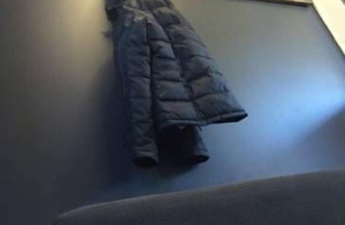 Dinner Plain Ski Chalet | Snow Brainer-dog friendly