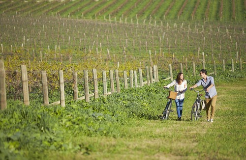 Pokolbin House | Spicers Vineyards Estate