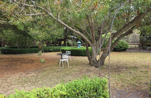 Exeter Apartment | Stay with Llamas in the Tamar Valley!