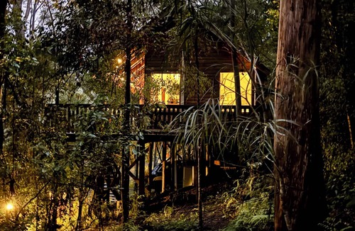 Salisbury Cabin | Tallgums - Immerse Yourself in Ancient Rainforest