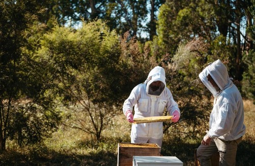 Mirboo North House | The Apiary