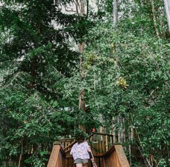 Salisbury House | The Cabin Barrington Tops Your Eco Place in Nature