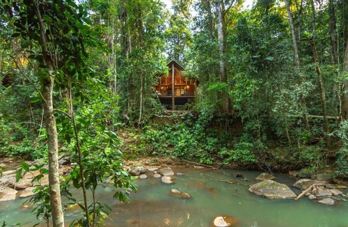 Tarzali Cabin | The Canopy Rainforest Treehouses & Wildlife Sanctuary