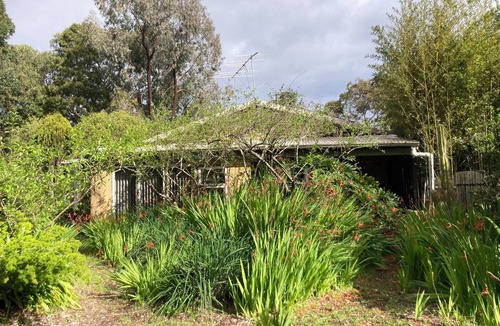 Margaret River Cottage | The country cottage Close to town. Family friendly and pet friendly.