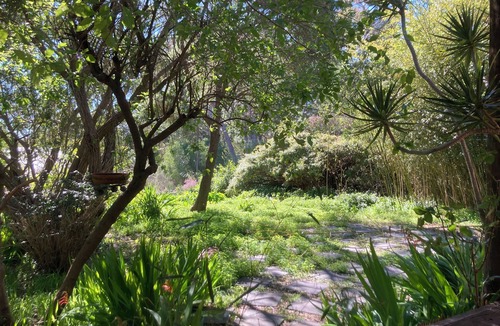 Margaret River Cottage | The country cottage Close to town. Family friendly and pet friendly.
