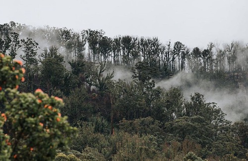 Budgong House | The Hamilton - Kangaroo Valley