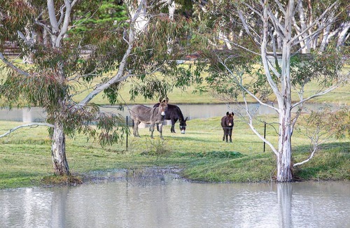 Sutton Forest House | The Hideaway at Sutton Forest Retreat