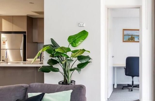 Zetland Apartment | The Patio Live like a Local in Spacious Comfort