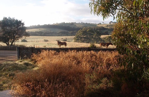Carrickalinga House | The Running Postman - Eco-friendly, linen provided