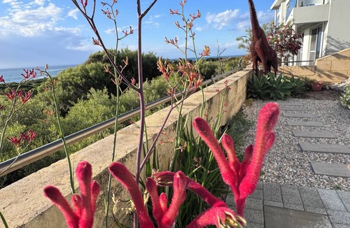 Dawesville House | The Sanctuary - Absolute ocean front House sleeps 8. 4 bedrooms 2.5 bath