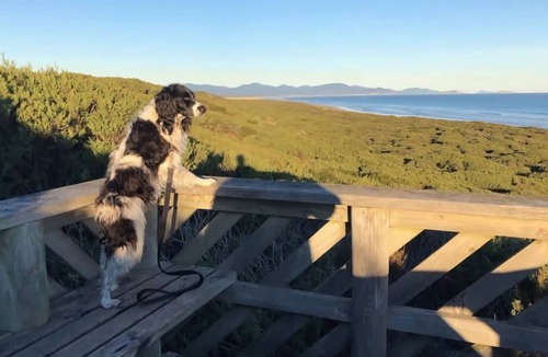 Sandy Point House | The Sandy Shack Stay 3 Pay 2 Winter Special