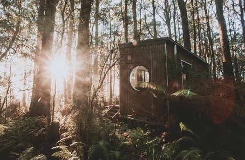 Benwerrin Cabin | Tiny- ECO House -Kensho- COMPLIMENTARY ROMANTIC PACKAGE WORTH $75- OTWAYS LORNE