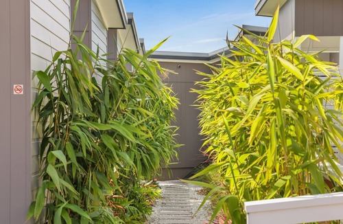 Sanctuary Point Cabin | Tiny House Stayz Stay for 3 Pay for 2! - House 7