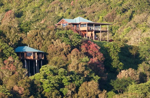 Peeramon Cabin | Tranquil Jungle Cabin for a Weekend Getaway in the Queensland Rainforest