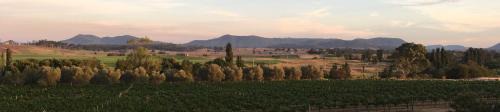 Luskintyre House | Tranquil Vale Vineyard
