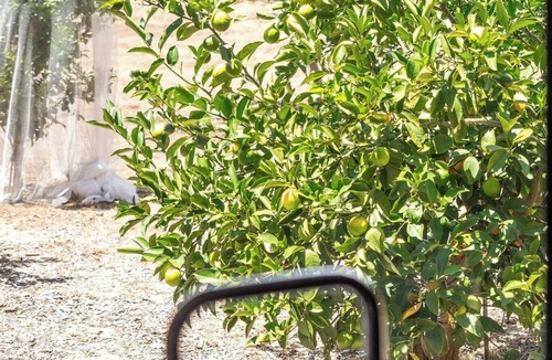 Margaret River House | Wattle Place | Peaceful Bush Retreat Near Town & Coast