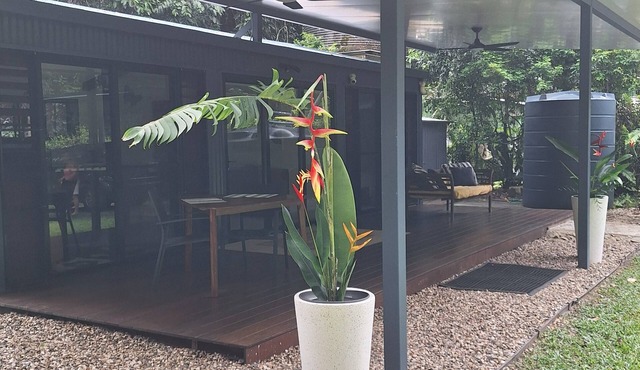 air conditioned, beach, rainforest,cassowary, goanna ,beach cafe, king bed in Thornton Beach