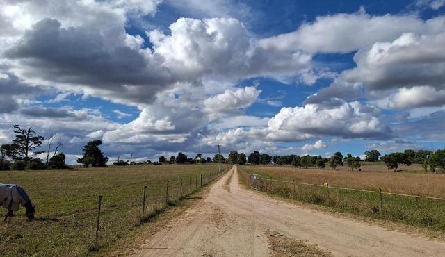 Alloway Bank in Bathurst