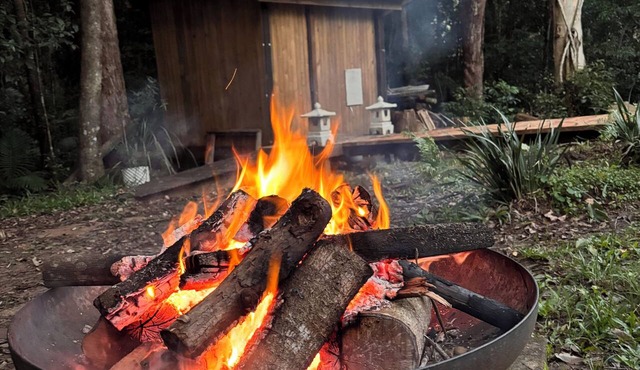 Back to nature rainforest retreat, in the centre of the Sunshine Coast Region.