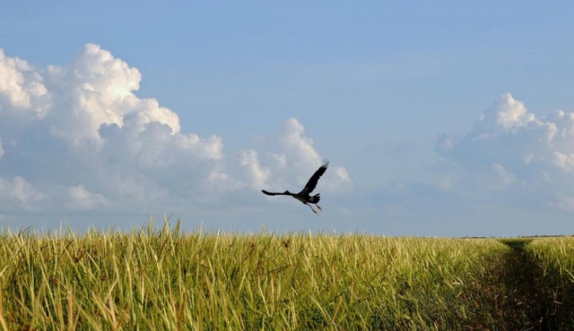 Bamurru Plains